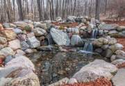 20250423-IMG_8848