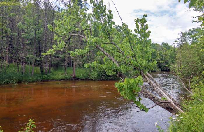 Learn more about NEARBY LOTS & LAND